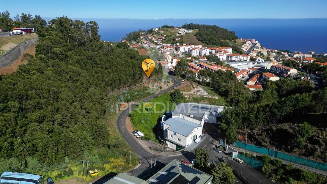 Land in Reed, Madeira, Portugal 3 - 18153258