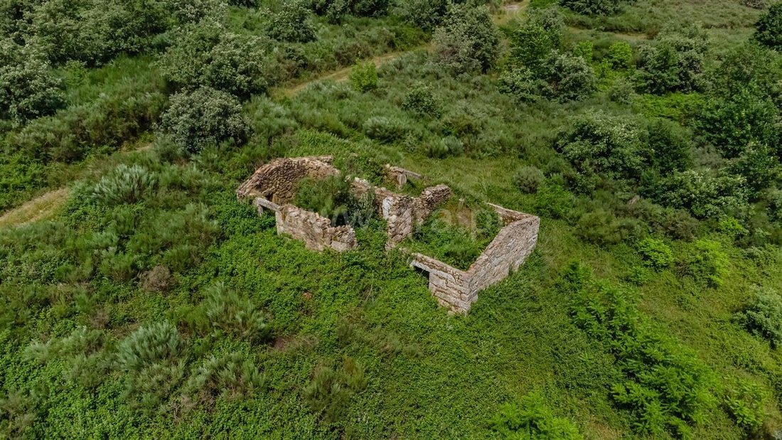 Farm Ranch in Torrozelo e Folhadosa, Guarda District, Portugal 4 - 18153053