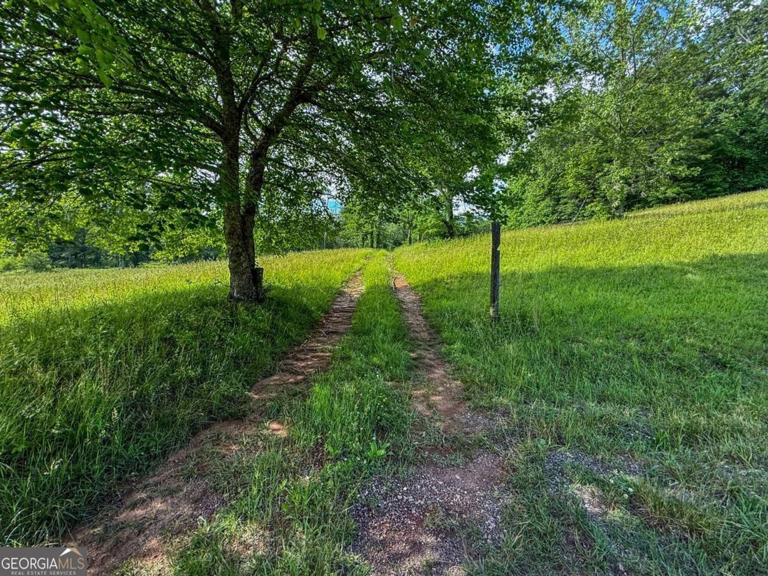 House in Suches, Georgia, United States 5 - 18152355