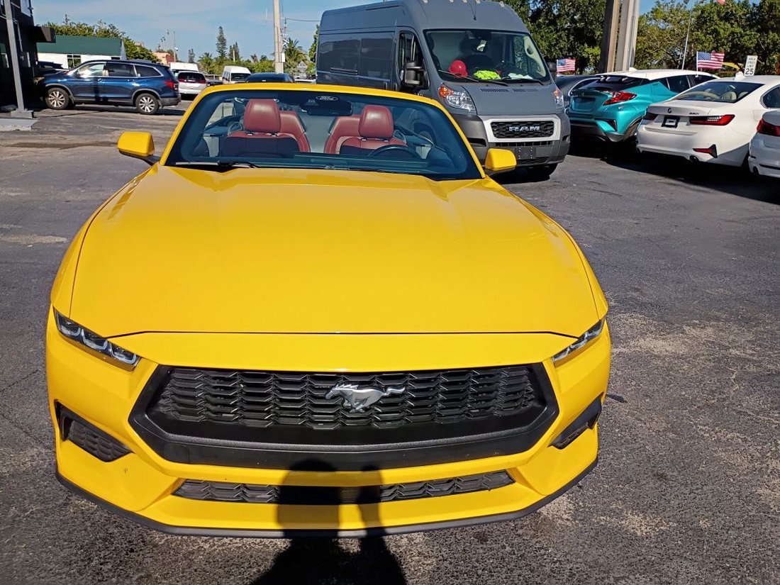 Cabriolet in Davie, FL, United States 2 - 18153502