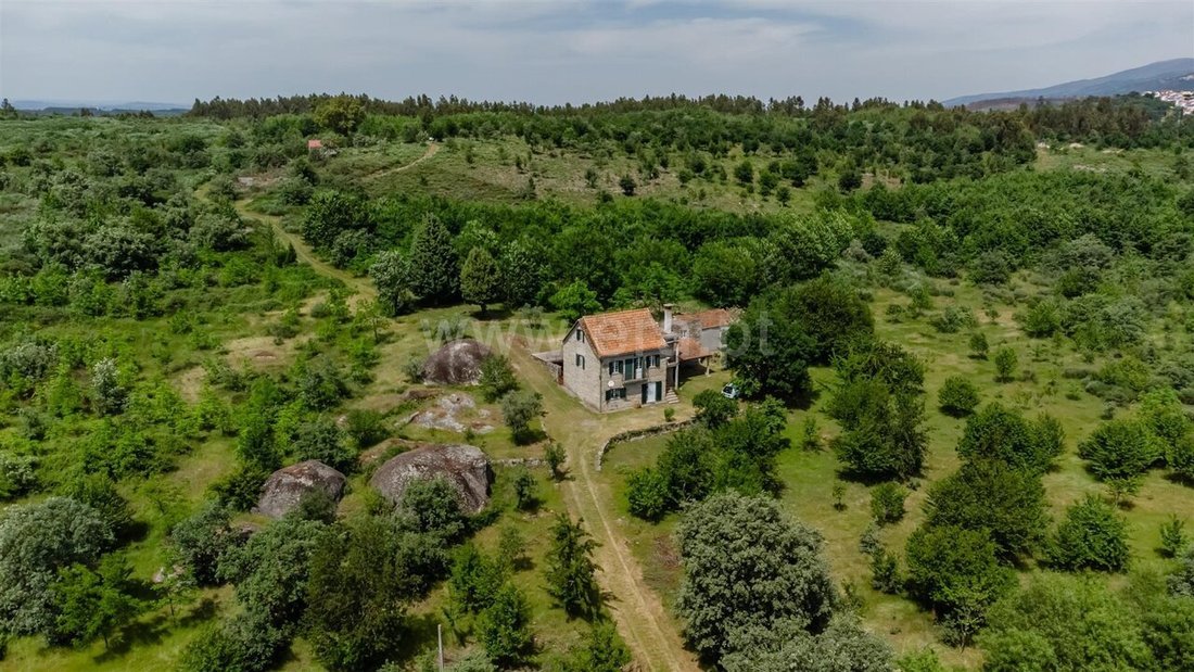 Farm Ranch in Torrozelo e Folhadosa, Guarda District, Portugal 3 - 18153053