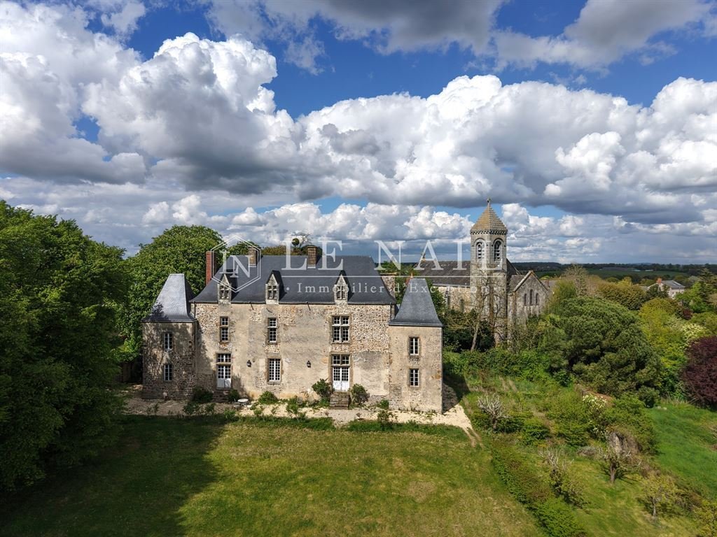 Castle in Pillerie-Bootz, Laval, Pays de la Loire 1 - 18153356