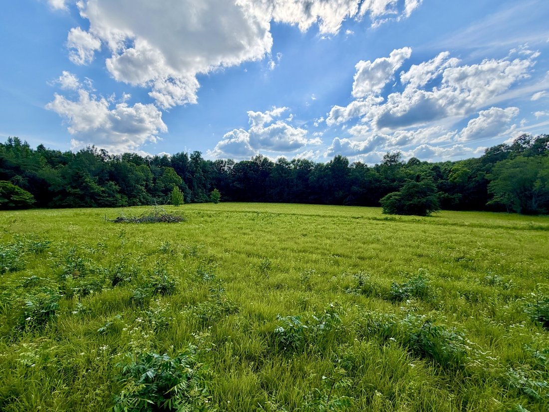 Farm Ranch in Bon Aqua, Tennessee, United States 5 - 18152507