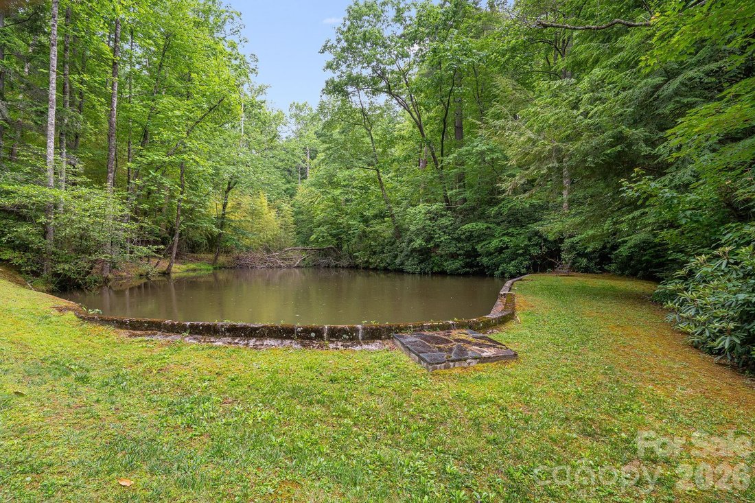 House in Flat Rock, North Carolina, United States 5 - 18152449