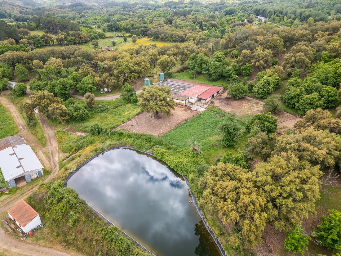 Finca in Fuenteheridos, Andalusia, Spain 1 - 18153709