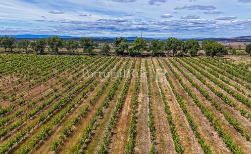 Finca a Se e Sao Lourenco, Distretto di Portalegre, Portogallo 1