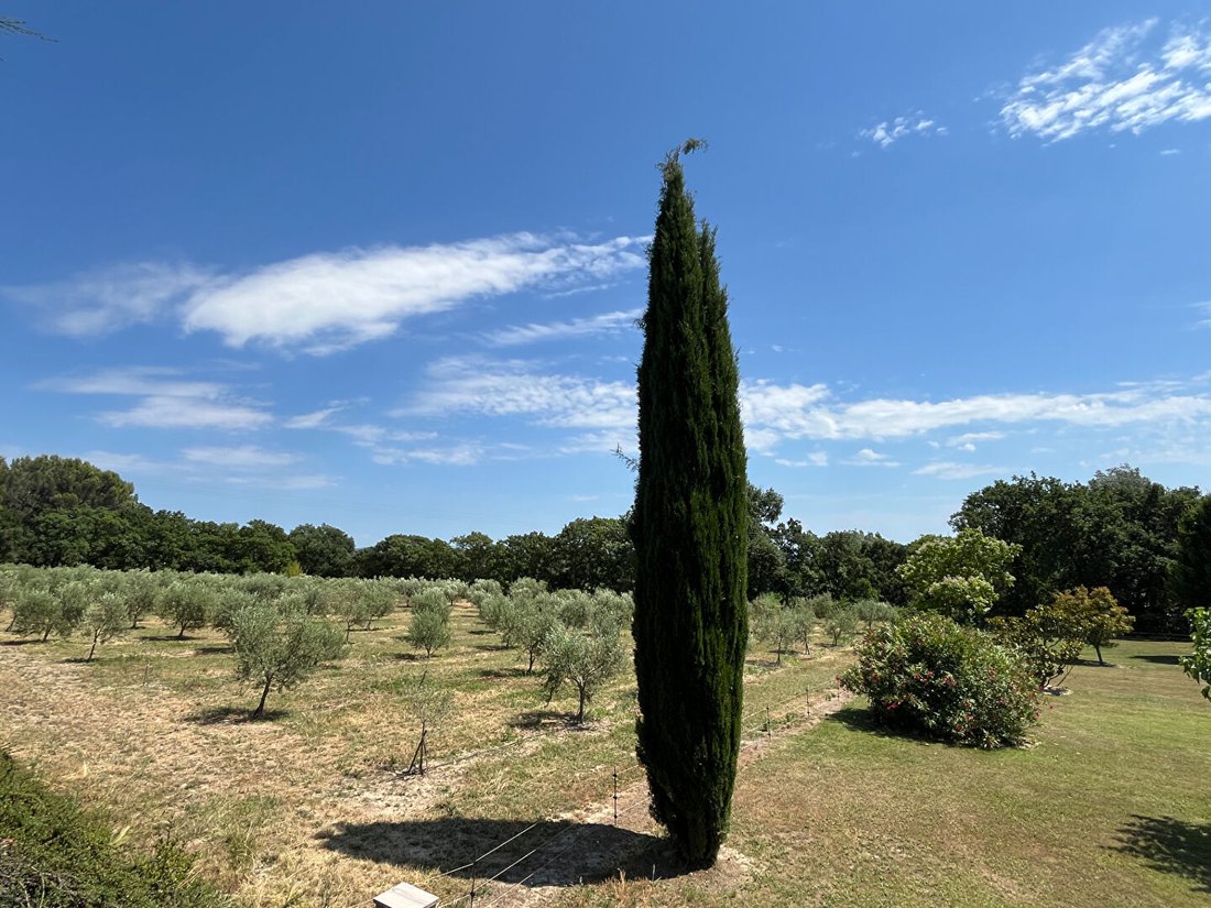 House in Zone Urbaine, Lambesc, France 5 - 18156994
