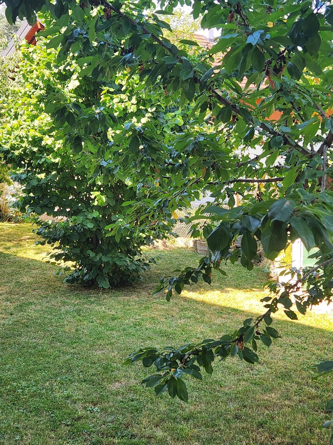 Apartment in Ouest, Ville-la-Grand, France 4 - 15996474