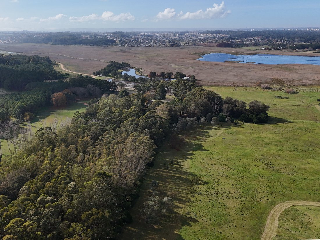 Estate in Punta del Este, Uruguay 2 - 18163768