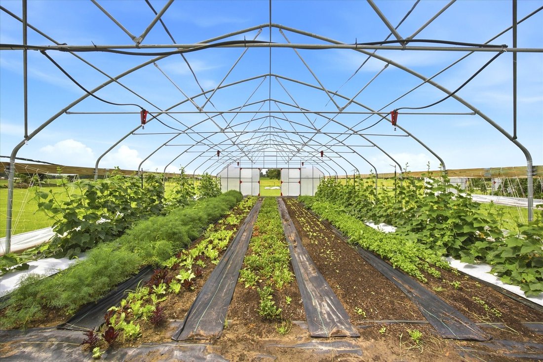 Azienda agricola a Emory, Texas, Stati Uniti 5 - 18160071