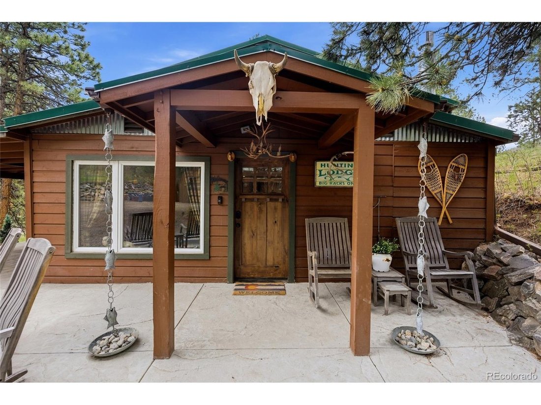 House in Bailey, Colorado, United States 5 - 18166818