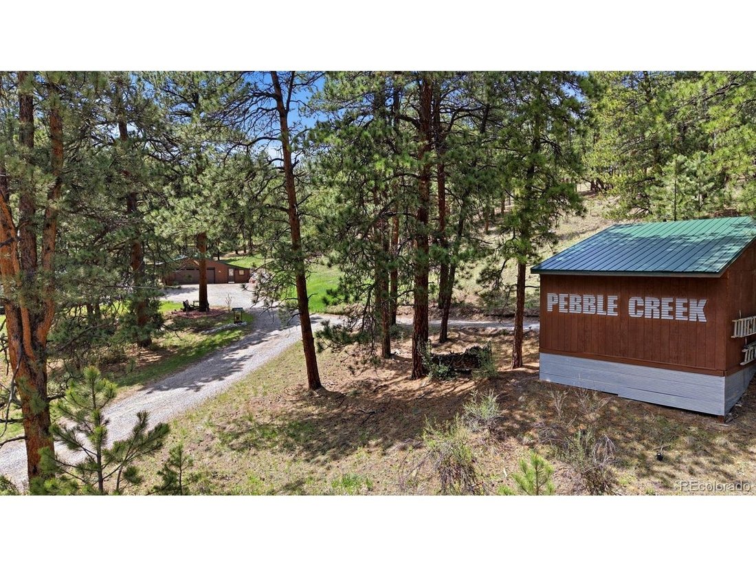 House in Bailey, Colorado, United States 3 - 18166818