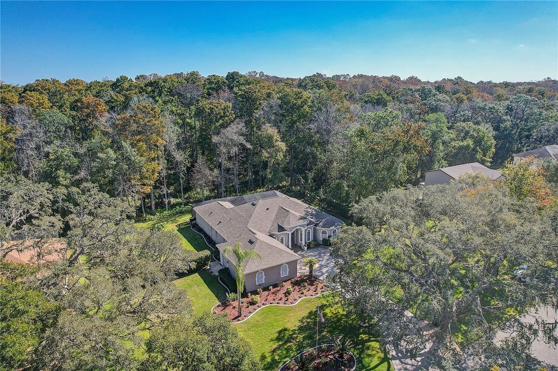 House in Spring Hill, Florida, United States 5 - 18155321