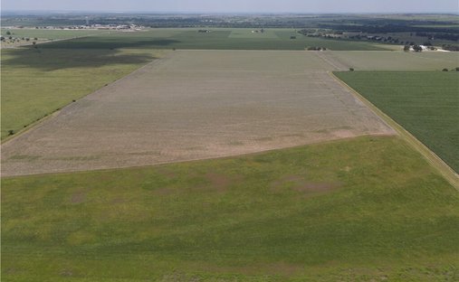 Farm Ranch in Seguin, Texas, United States 1