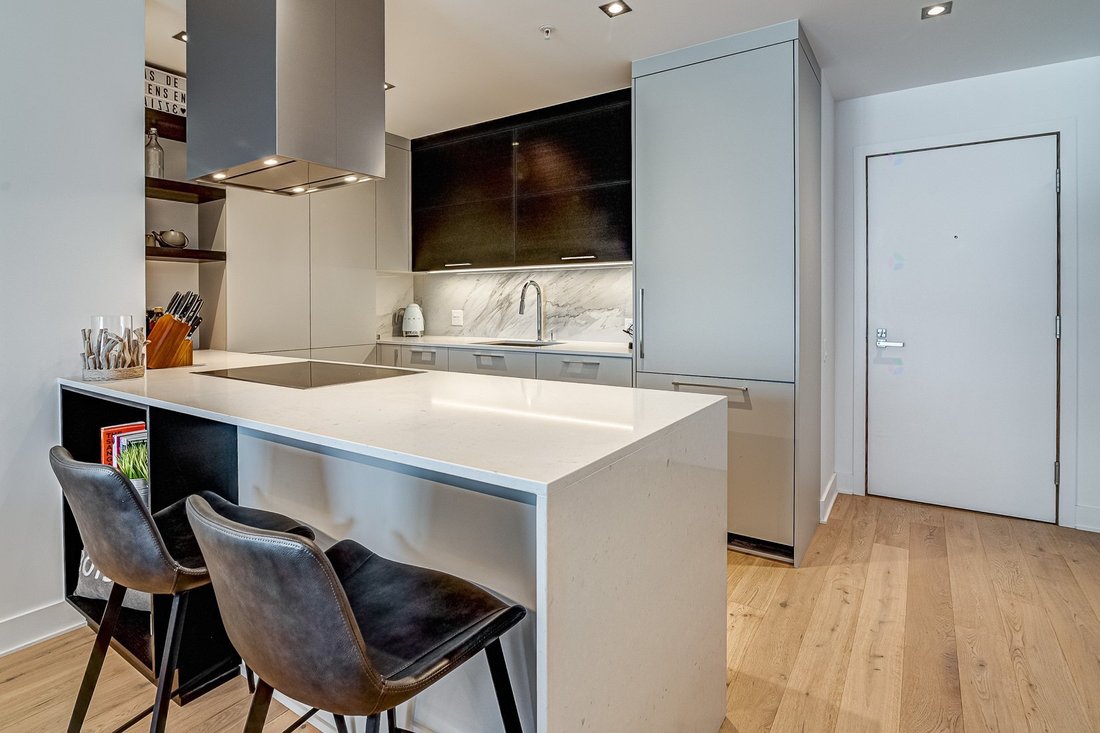 Condo in Montréal, Quebec, Canada 1 - 18160512