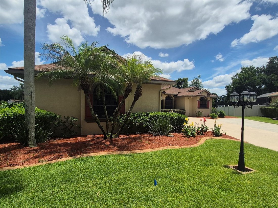 House in Valrico, Florida, United States 3 - 18167163