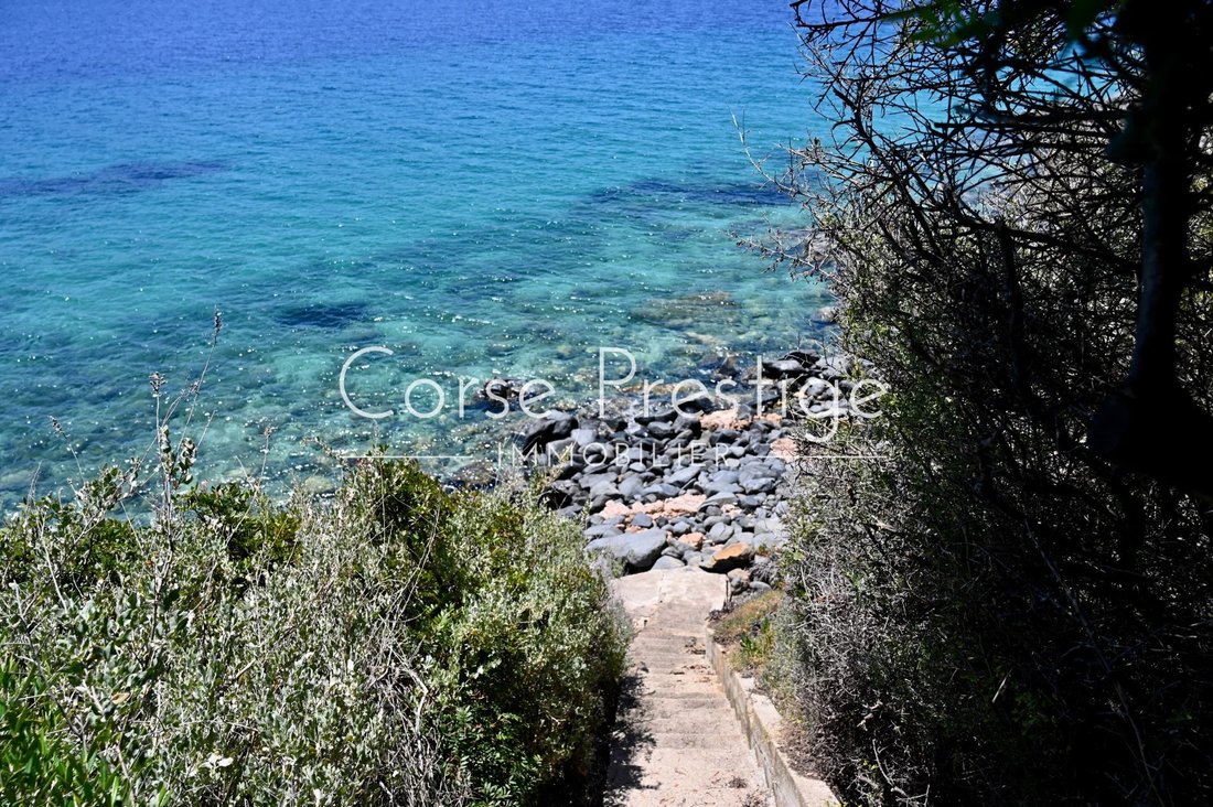 Villa in Propriano, Corsica, France 5 - 14512733