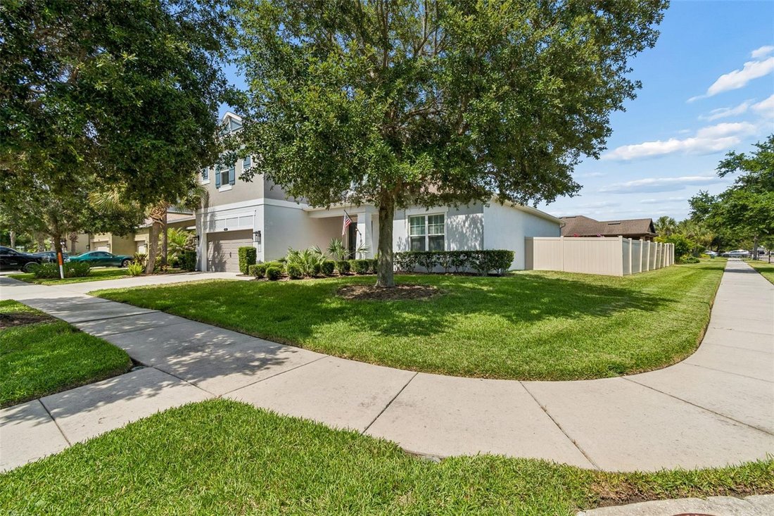 House in Land O' Lakes, Florida, United States 4 - 18155304