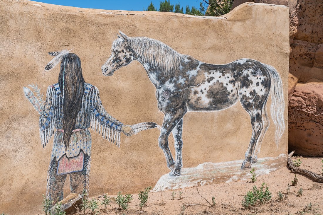 House in Sandia Park, New Mexico, United States 5 - 18160307