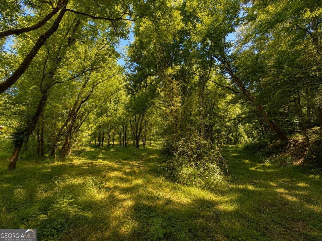 Jasper, Georgia, United States 5 - 18160243
