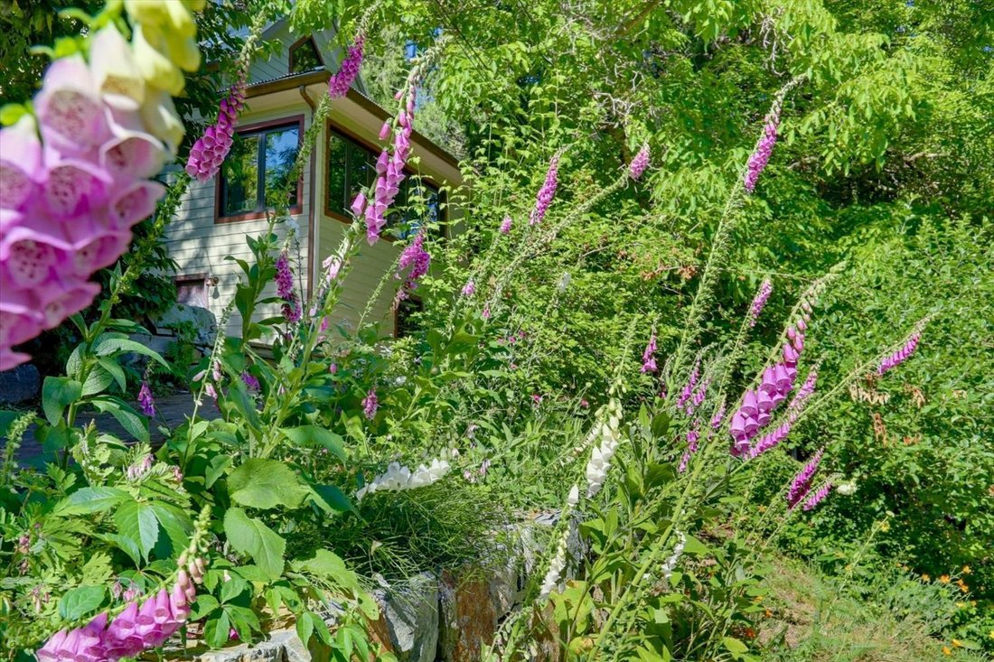 House in Nevada City, California, United States 3 - 18160387