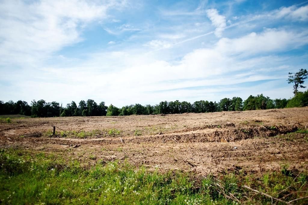 Land in Oxford, Mississippi, United States 4 - 18161801