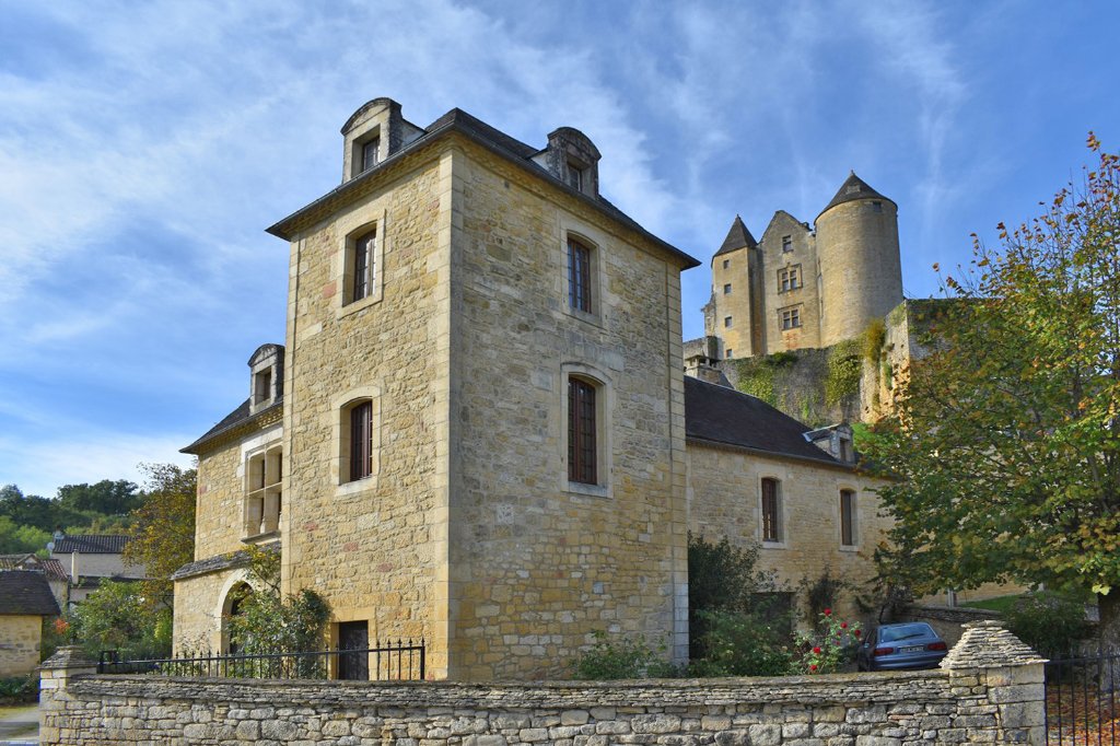 Villa in Salignac-Eyvigues, Nouvelle-Aquitaine, France 3 - 18169019