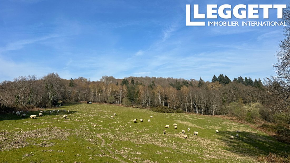 Farm Ranch in Marval, Nouvelle-Aquitaine, France 3 - 14575363