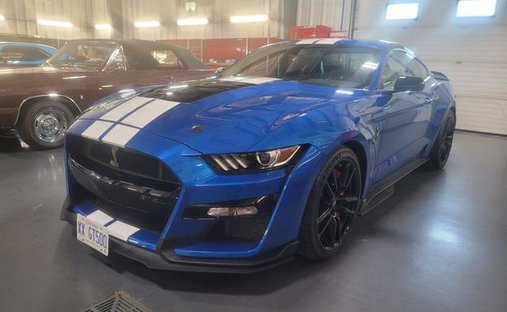 Ford Mustang in Calverton, NY, United States 1