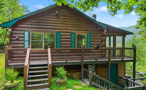 Casa a Cherry Log, Georgia, Stati Uniti 1