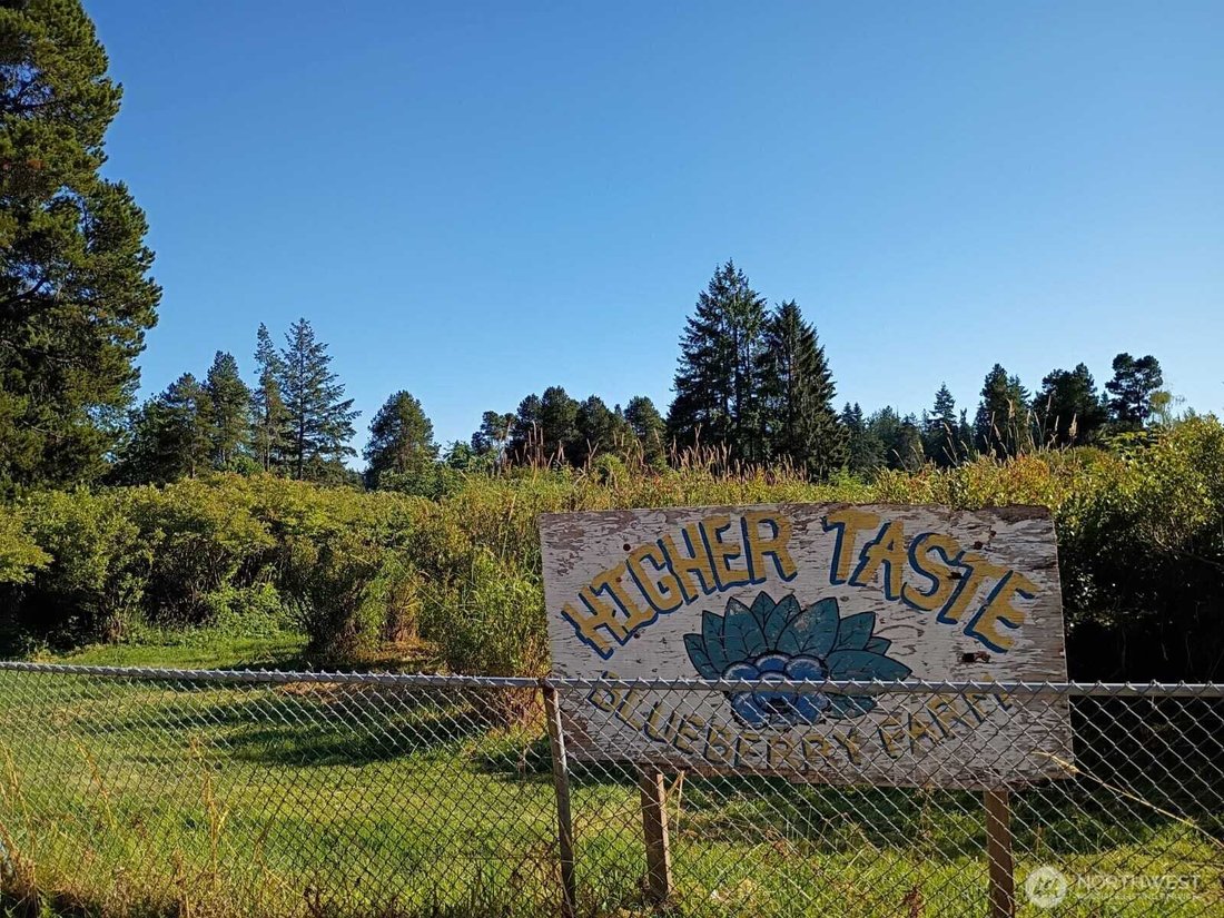 Auburn, Washington, United States 2 - 15908727