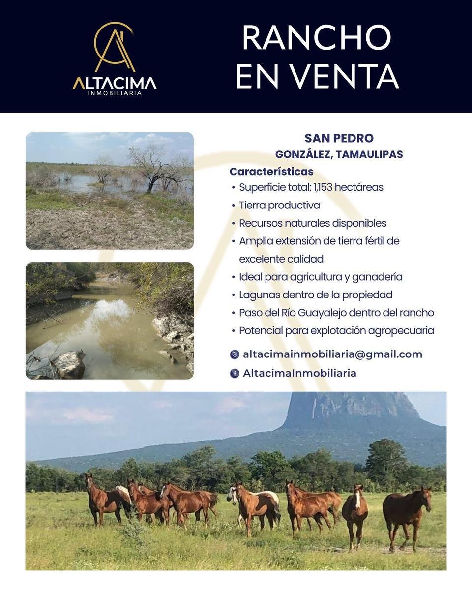 Land in González, Tamaulipas, Mexico 2 - 18167710