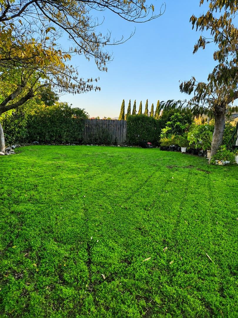 House in San Jose, California, United States 4 - 18167093