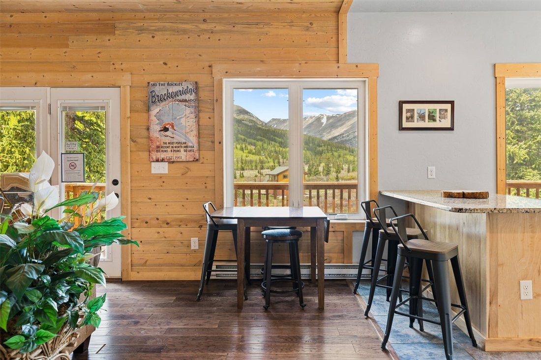 House in Alma, Colorado, United States 4 - 18154875