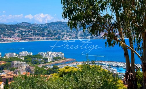 Villa in Mandelieu-la-Napoule, Provence-Alpes-Côte d'Azur, France 1
