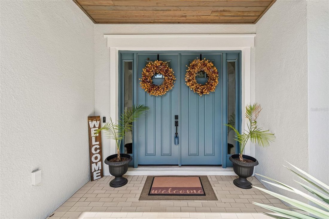 House in Land O' Lakes, Florida, United States 5 - 18155304