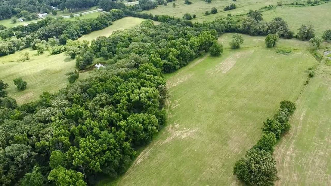 Farm Ranch in Coal Hill, Arkansas, United States 4 - 18154021