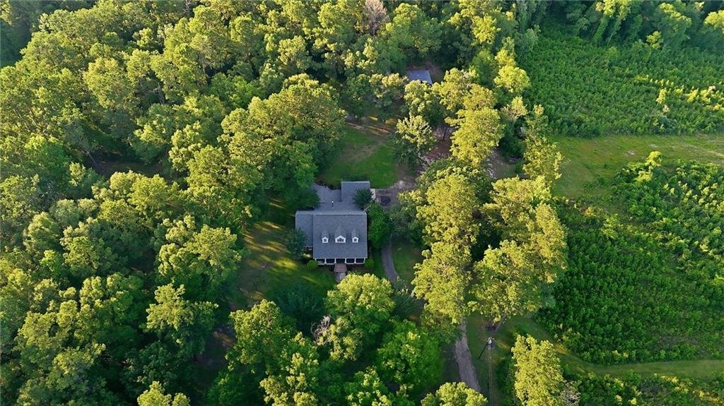 House in Bogalusa, Louisiana, United States 2 - 18166826