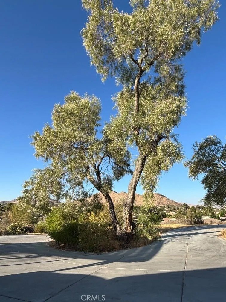 House in Apple Valley, California, United States 2 - 18162642