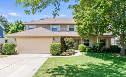House in Bolingbrook, Illinois, United States 1