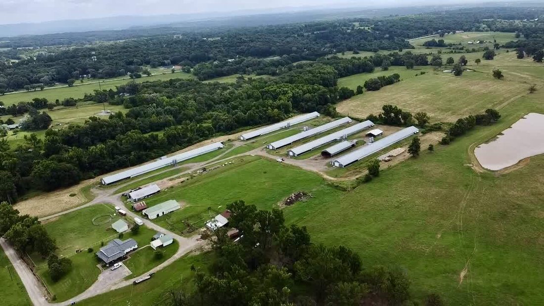 Farm Ranch in Coal Hill, Arkansas, United States 2 - 18154021