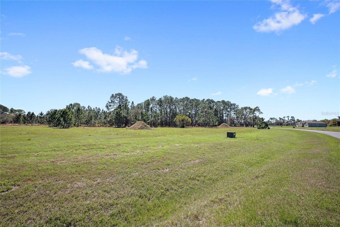 House in Umatilla, Florida, United States 5 - 18158621