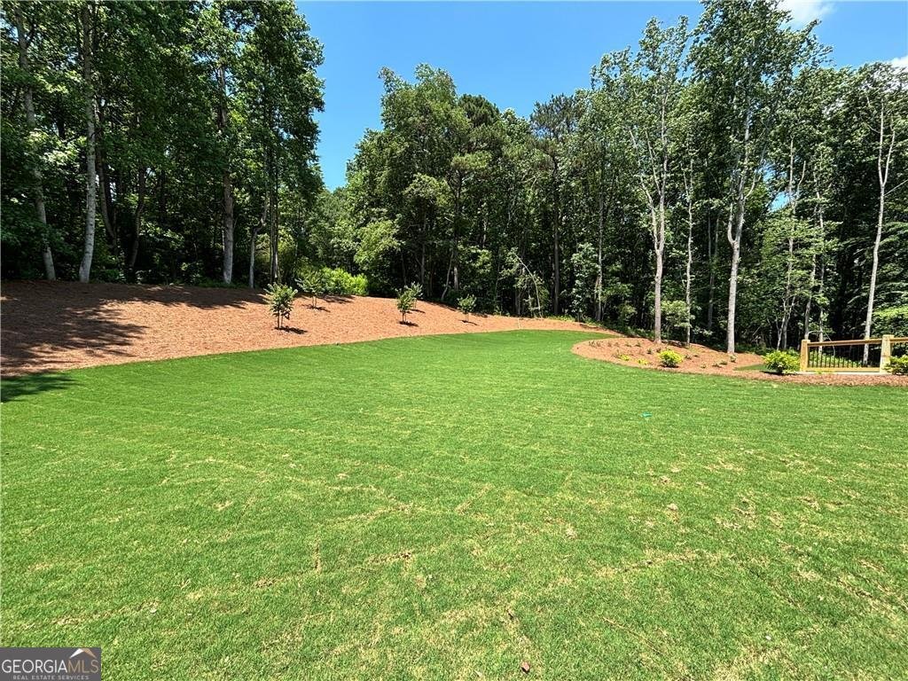 House in Canton, Georgia, United States 4 - 18155460