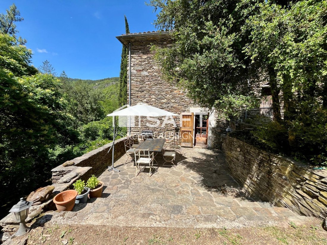 House in Le Collet-de-Deze, Occitania, France 1 - 18157528