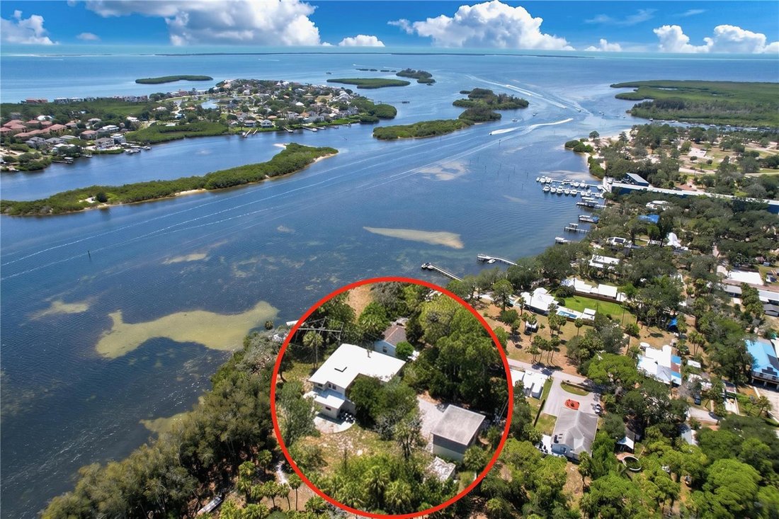 House in Tarpon Springs, Florida, United States 1 - 18158606