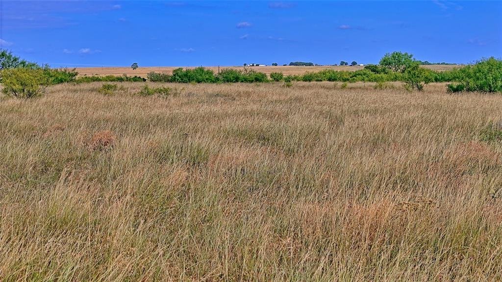 Farm Ranch in Henrietta, Texas, United States 3 - 18165077
