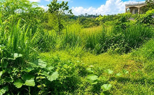 Land in Soa, Centre Region, Cameroon 1