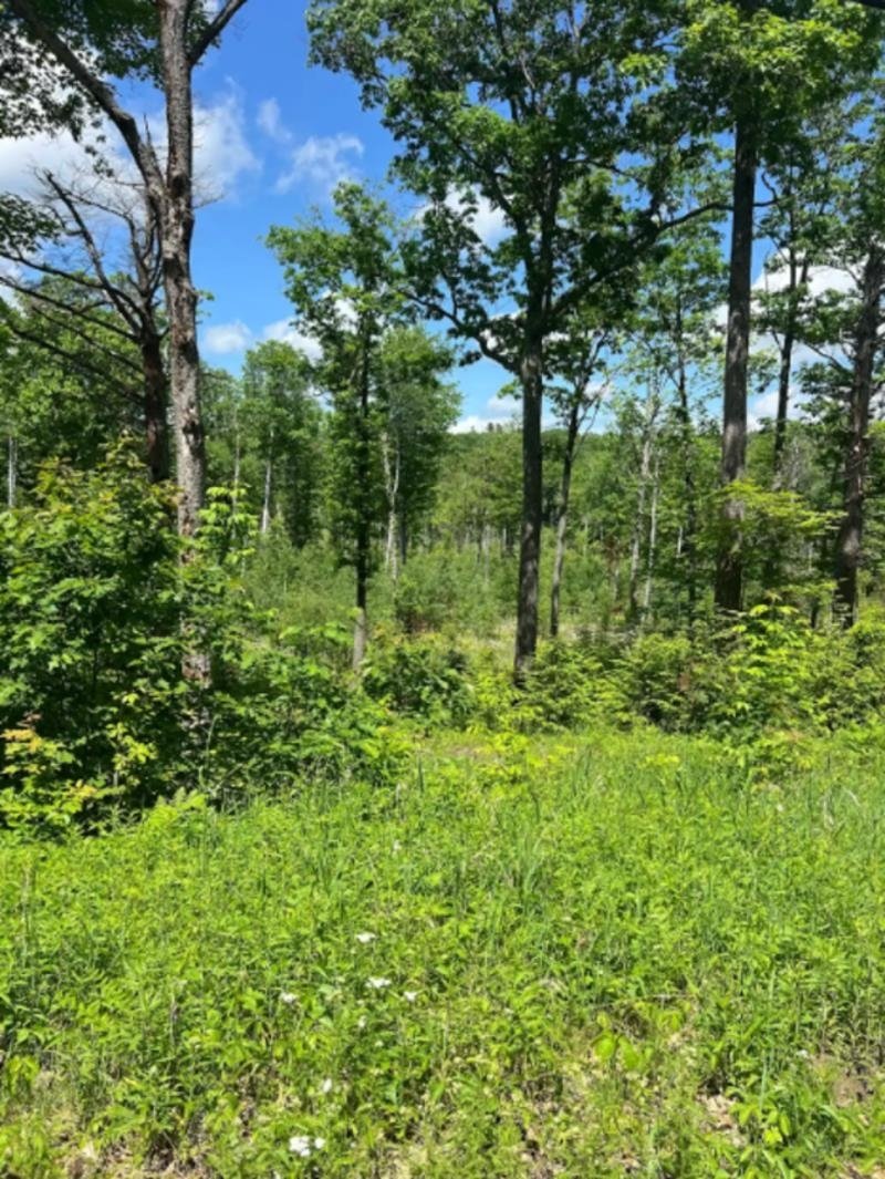 Land in Canaan, New Hampshire, United States 1 - 18159966
