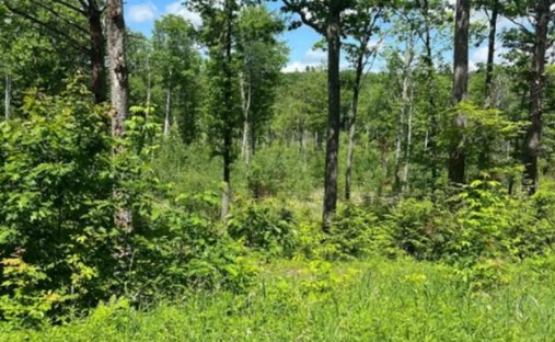 Land in Canaan, New Hampshire, United States 1