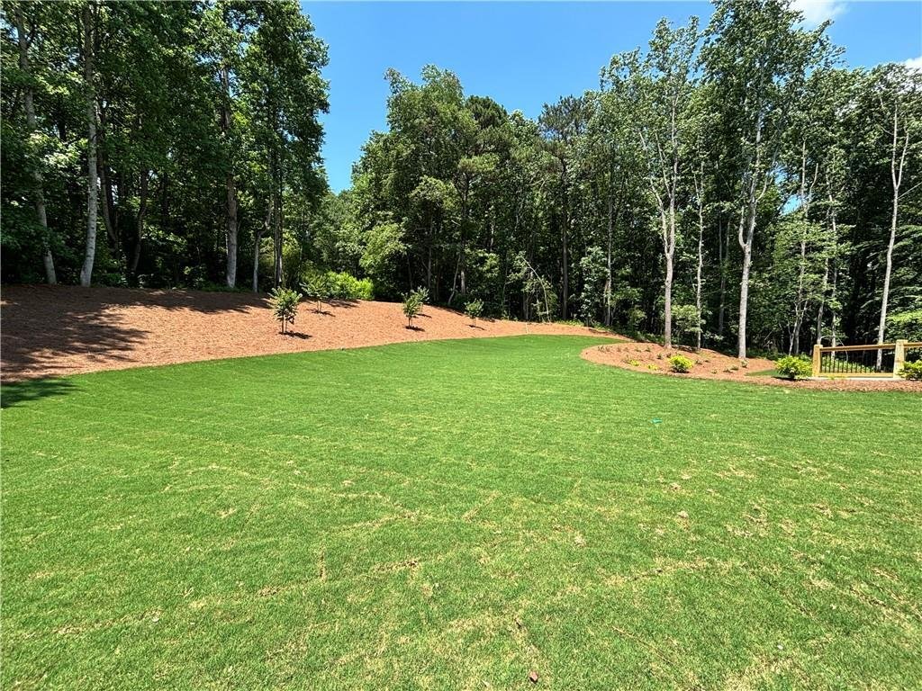 House in Canton, Georgia, United States 4 - 18155250